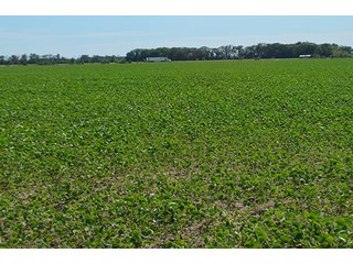 Property photo 117 - LAND AUCTION - 215+/- ACRES OFFERED IN 6 TRACTS IN VAN WERT COUNTY, OHIO